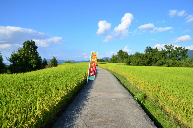 山奥にあるのぼり